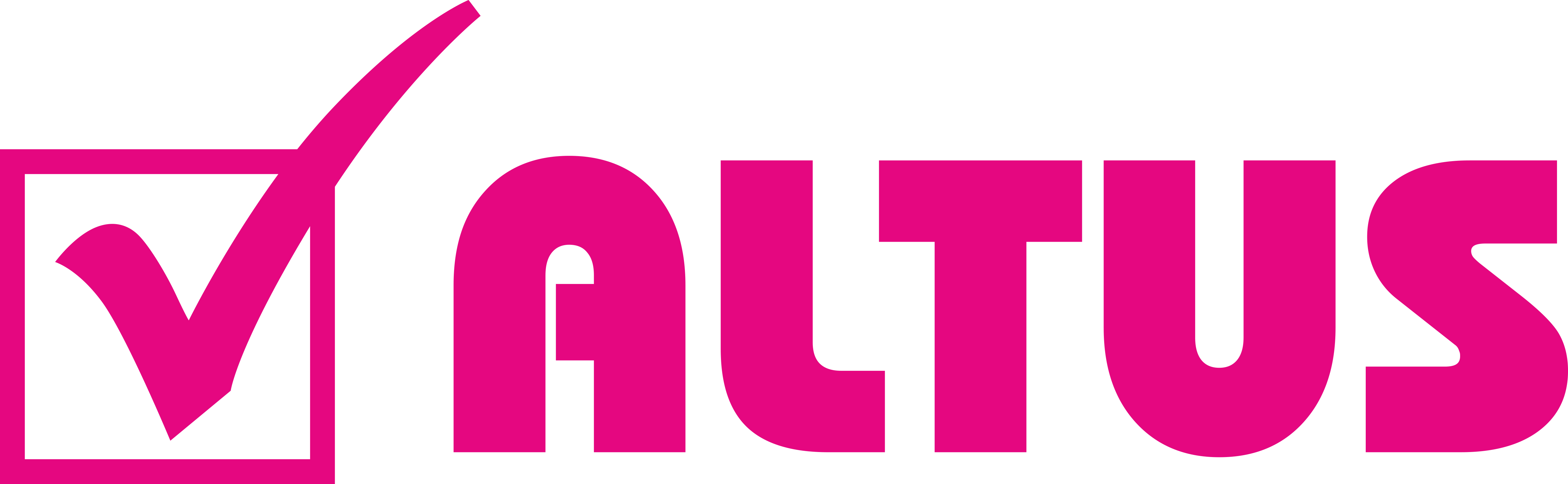 Altus Kart Tamiri